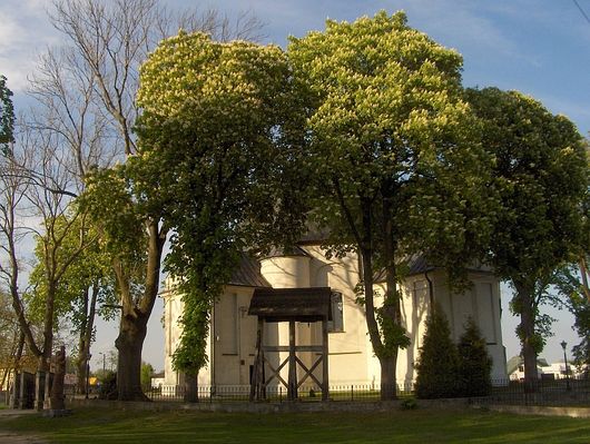 Miszewo Murowane
Zabytkowy kościół w objęciach starych kasztanowców.
Słowa kluczowe: Miszewo