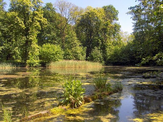 Cieśle
Staw w parku krajobrazowym (podworskim)
Słowa kluczowe: Cieśle