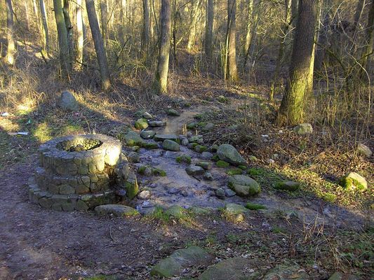Borowice
Źródło wody pitnej, po którą do lasu za Słupnem, przyjeżdżali także płocczanie.
Słowa kluczowe: Borowice