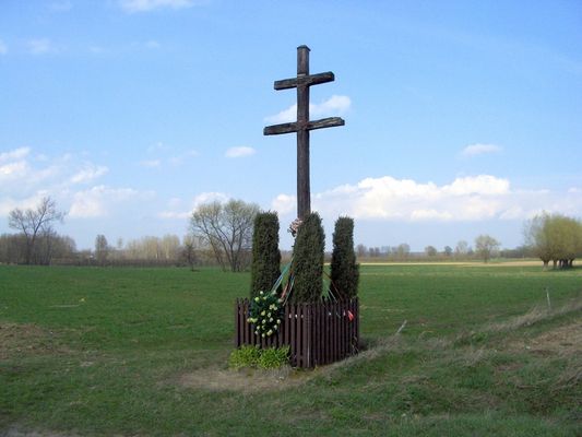 Karawaka
Krzyż choleryczny na odludziu, gdzieś w okolicach Zycka.
Słowa kluczowe: karawaka
