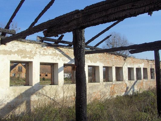 Świniary
Wypalone wnętrze.
Słowa kluczowe: Świniary