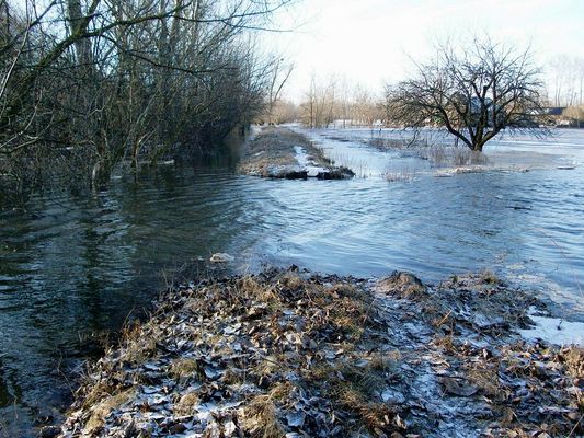 nad ranem woda przerwała stary wał w Chmielewie pod Wyszogrodem
Wiśle pomogły najprawdopodobniej bobry, które przy ostatnim dwumiesięcznym wysokim stanie rzeki zaczęły robić nowe nory, a wał im najbardziej odpowiadał ku temu (niniejsze zdjęcie jest w fotogalerii PLOCK24 pierwszą publikacją na temat przerwanego wału w mediach publicznych) 
Słowa kluczowe: nad ranem woda przerwała stary wał w Chmielewie pod Wyszogrodem