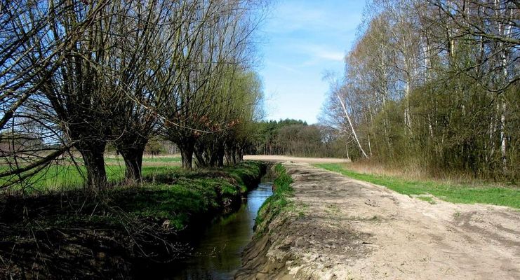 rzeka Słupianka pod Borowiczkami
***
