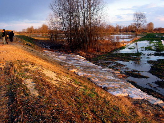 Likwidacja przecieku w stopie wału przeciwpowodziowego
Świniary   2006r.
