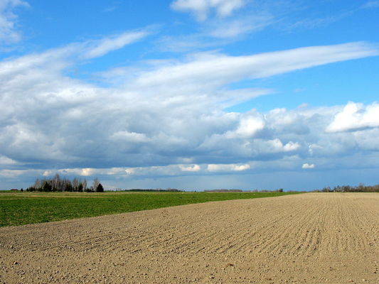 czy słyszycie skowronka ?
Święcice Stare
