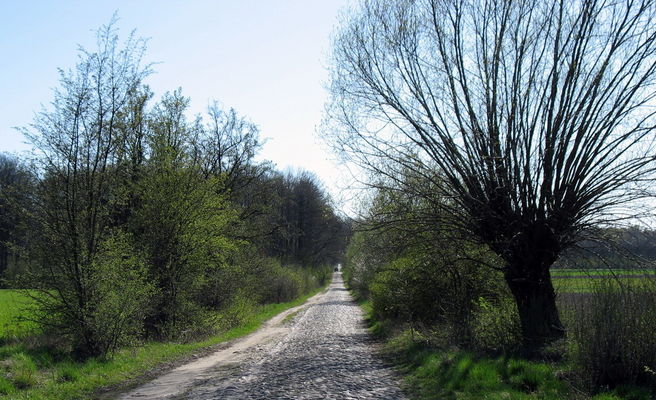 droga brukowana Nakwasin - Wilkanowo
ostatni bruk na drodze w powiecie płockim
