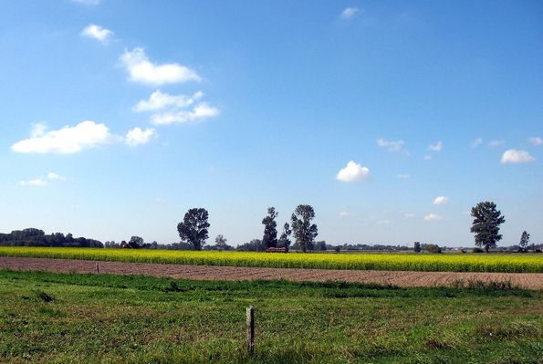 krajobraz wrześniowy
Święcice Stare
