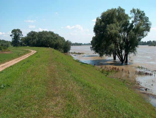 wał przeciwpowodziowy czeka na większą wodę
Wał przeciwpowodziowy czeka na większą wodę, bo ta zaledwie go łaskocze w stopę

Okolice Płocka
