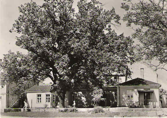dom Broniewskiego
pocztówka z lat 60-tych
