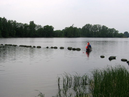 Układanie w Jeziorze Zdworskim bariery ze słomy jęczmiennej do przeciwdziałania zakwitom wody w jeziorze, wiosna 2006r.
Słomiane "bołdy" owinięte siatką ze sztucznego materiału zakotwicza się na powierzchni wody. Po nasiąknięciu wodą w słomie szybko rozwijają się grzyby, które uwalniają związki odstraszające sinice. Z czasem np. dzisiaj, po zwiększeniu się własnego ciężaru "bołdy" zanurzają się tuż pod powierzchnię lustra wody. Wiosna 2007r. bariery na sinice założono w 5 miejscach J. Zdworskiego oraz w 2 miejscach J. Ciechomickiego. 


