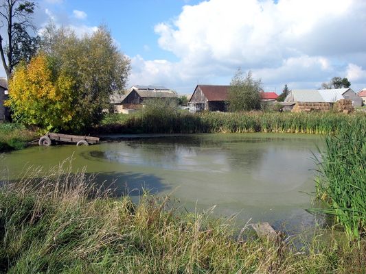 słoneczna idylla w Kamionkach
3.X.2007r., gm. Stara Biała
