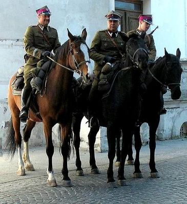 strzelcy konni  4. PSK im. Ziemi Łęczyckiej z Płocka
rekonstruktorzy przed zamkiem  3 maja 2007r.
