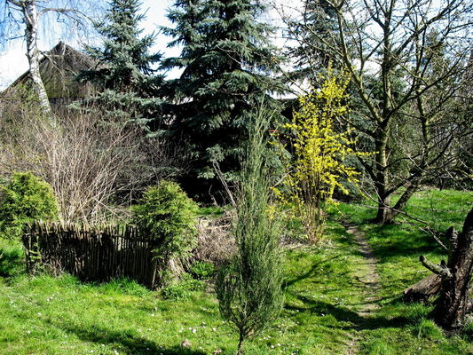 tajemniczy ogród
Święcice Stare
