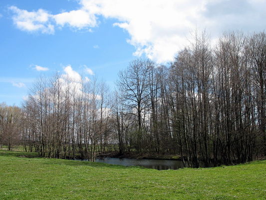 staw nad Ryksą
Święcice Stare
