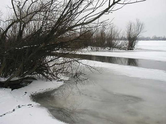 zlodzenie Wisły w Kępie Polskiej - autor Krzysztof Kasprzak
2003r.

