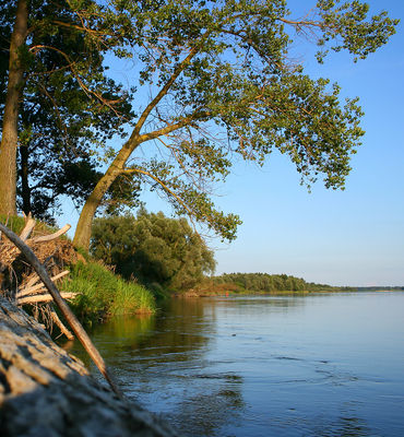 Brzeg Wiślany
[i]Kępa Polska[/i]

