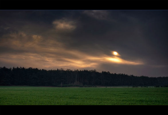 Kępa Polska
[i]O poranku...[/i]
