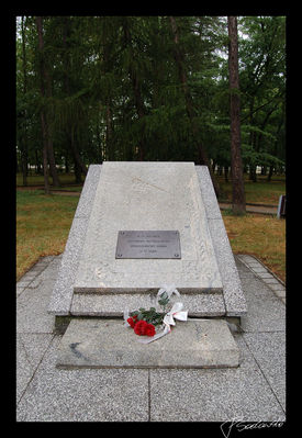 Park w Gąbinie - Pomnik upamiętniający 70 rocznicę odzyskania niepodległości 1988r
