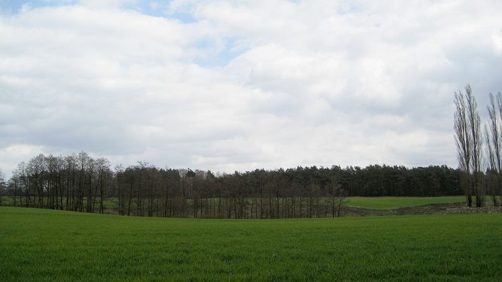 Pagórkowaty teren w Rokiciu
