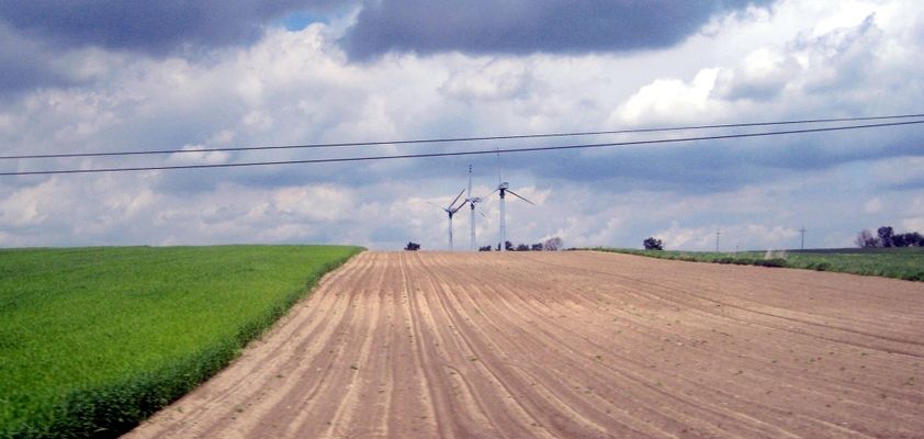 Wiatraki w okolicach Bodzanowa
