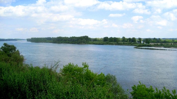 Wisła w Wyszogrodzie
