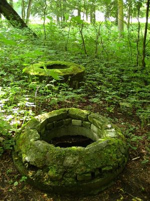 Dwie stare studnie na terenie zespołu parkowo-dworskiego w Nowym Duninowie
