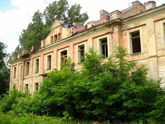 Pozostałość po dawnym pałacu w Nowym Duninowie
