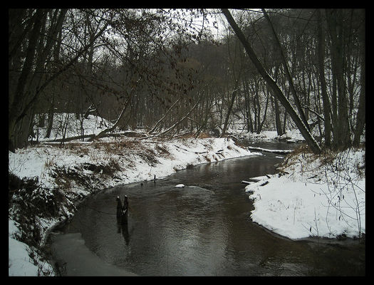 Zima w Rezerwacie Sikórz
Dolina Skrwy Prawej
Słowa kluczowe: okolice Płocka