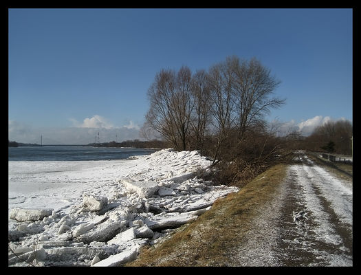 potężne góry lodowe wywracające drzewa
* * * *
widok na Wisłę z wału przeciwpowodziowego w Borowiczkach - 3. 3. 2010 r.
Słowa kluczowe: Wisła