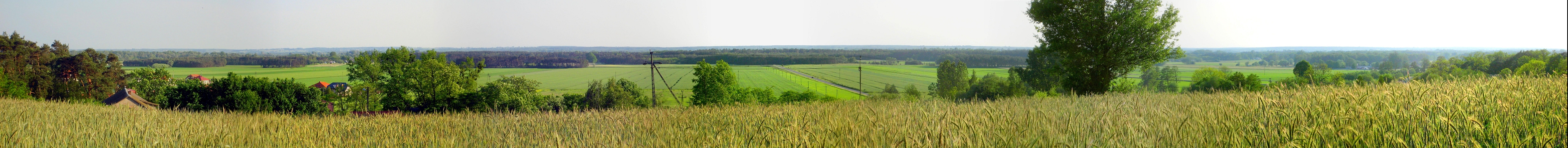 Panorama ze wzgóra leśnego w Słupnie na rozciągające się pola w kierunku Wisły
