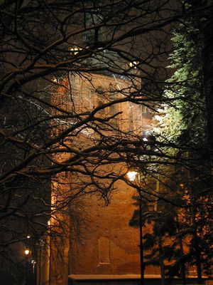 Wieża zamkowa.
Obiekt dość popularny do fotografowania, ale w tej perspektywie jeszcze nie widziałem, żeby ktoś zamieścił, więc wrzucam swoją fotkę.
Słowa kluczowe: wieża zamek noc nocą