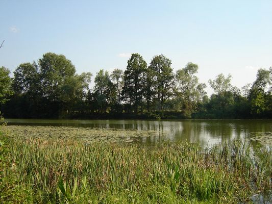 Jeziorko Białobrzeg
