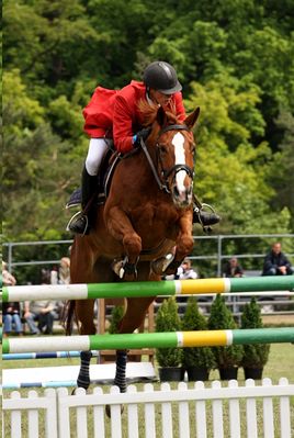 ***
Zawody Ogólnopolskie  w Skokach przez Przeszkody Łąck 23-25.05.2008
Konkurs Nr 11 Finał Małej Rundy. 25.05.2008
