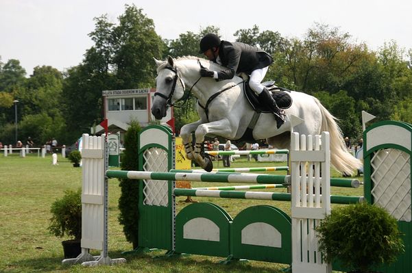 ***
Mistrzostwa Polski Młodych Koni w Skokach przez Przeszkody 24-26.08.2007
II półfinał koni 6-cio letnich 25.08.2007
