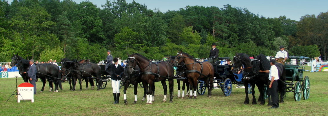 Pokaz powozów konnych podczas Mistrzostw Polski Młodych Koni w Skokach Przez Przeszkody w Łącku - VIII.2007 r.
Od lewej powozy: ze Stada Ogierów w Łącku, stadniny Żawakol z Gąbina, stadniny Sławomira Świerzyńskiego.
Słowa kluczowe: stado stadnina powozy konie Łąck Żawakol Świerzyński