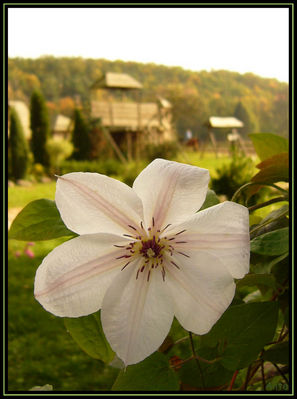 Cierszewo... z innej perspektywy

