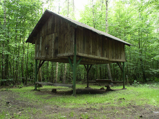 Brudzeński Park Krajobrazowy
paśnik
