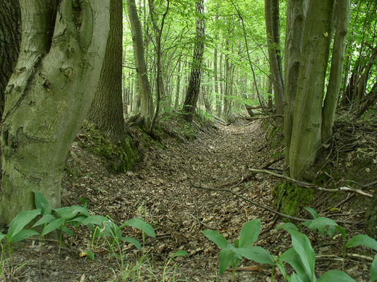 Brudzeński Park Krajobrazowy
