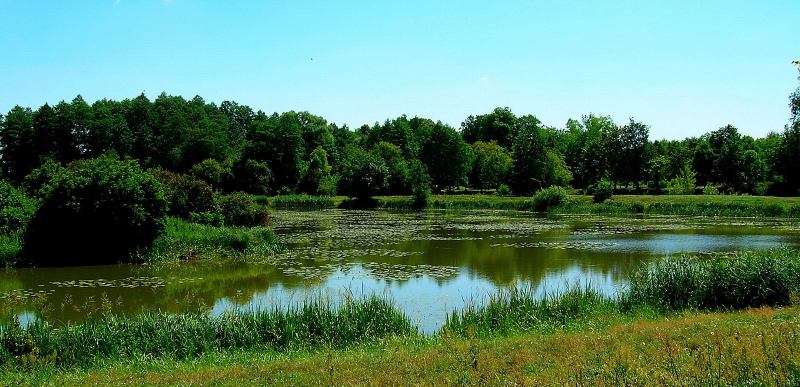 jezioro Drzesno k/Sędenia
