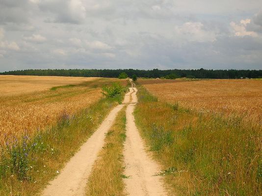 Polna droga
Okolice Słupna

