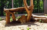 Zoo_Plock_06.06.JPG