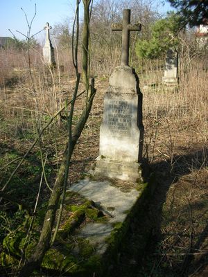 Cmentarz niemiecki w Białobrzegach
Zdjęcie przedstawia pozostałości cmentarza w Białobrzegach, na którym chowano kiedyś mieszkańców tych okolic narodowości niemieckiej. Obecnie zostały tu tylko cztery nagrobki (w tym trzy z płytami nagrobnymi) oraz słupki bramy wejściowej.
Słowa kluczowe: Cmentarz niemiecki