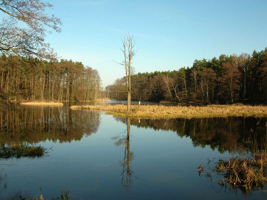 Widok na Jezioro w Soczewce
