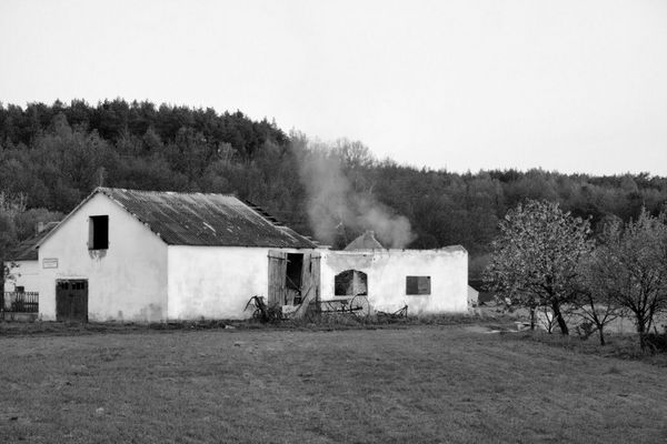 Lasotki
Słowa kluczowe: Garstka.pl Lasotki