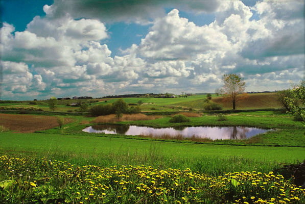 Karwosieki Cholewice - jeden ze stawów w rynnie karwosieckiej
Słowa kluczowe: karwosieki staw krajobraz wiosna chmury