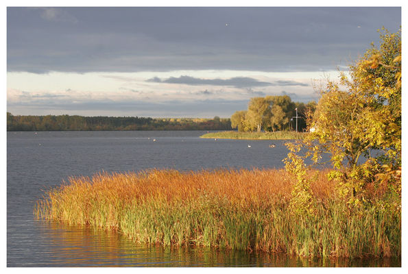 jesienny poranek
okolice Murzynowa
