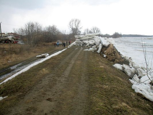 kry na wale wiślanym w Dobrzykowie
z powodu przesuwającego się zatoru lodowego w Wiśle kry z impetem uderzyły na sporym odcinku w wał.  Brzegi Wisły tam gdzie nurt zbliża się do brzegu powinny być porządnie umocnione ale z powodu ekologów sąd niedawno wydał wyrok zakazu zbliżania się z jakimikolwiek robotami na rzece Wiśle na odcinku od Wyszogrodu do Płocka. Pamiętajmy, że jest to zasługa pana profesora Nowickiego z Gdańska, prezesa Okręgowego Towarzystwa Ochrony Ptaków - w sądach wygrywa wszystkie sprawy przeciwko hydrologom
Słowa kluczowe: kry na wale wiślanym w Dobrzykowie