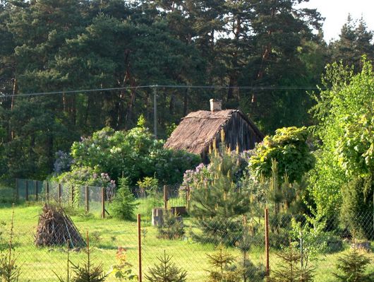 Chałupa w Białobrzegach.
Niestety już nie istnieje.
