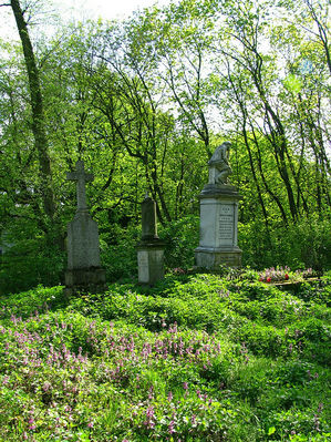 opuszczony cmentarz w Sikorzu
