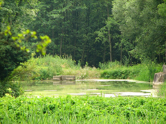 Felicjanów
Park przy klasztorze Mariawitów

